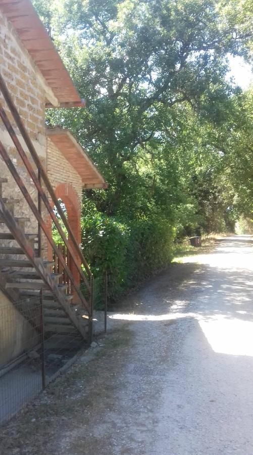 La Casa Di Lili Villa Lugnano in Teverina Eksteriør billede